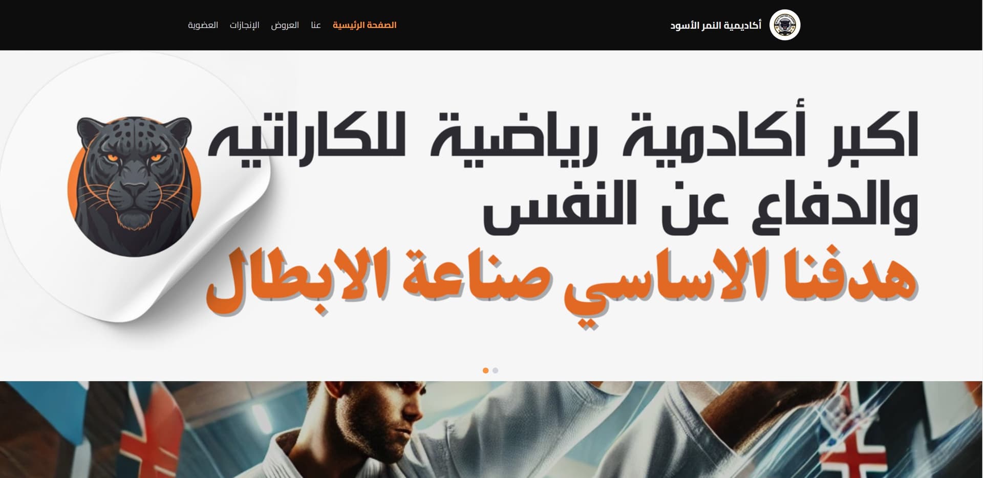 أكاديمية النمر الأسود للكاراتيه